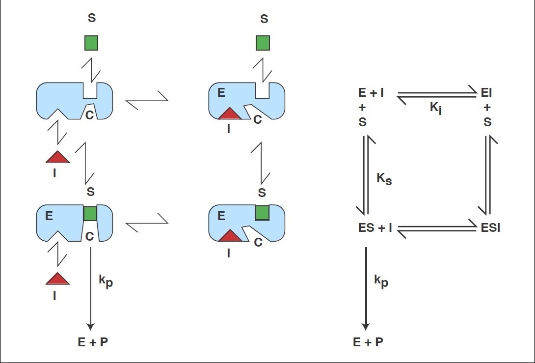 Non-competitive Inhibition diagram enzyme reaction mechanism